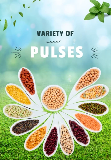 Variety Of Pulses